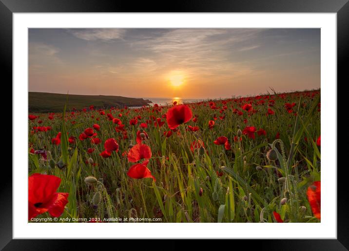 Poppies at Sunset Framed Mounted Print by Andy Durnin