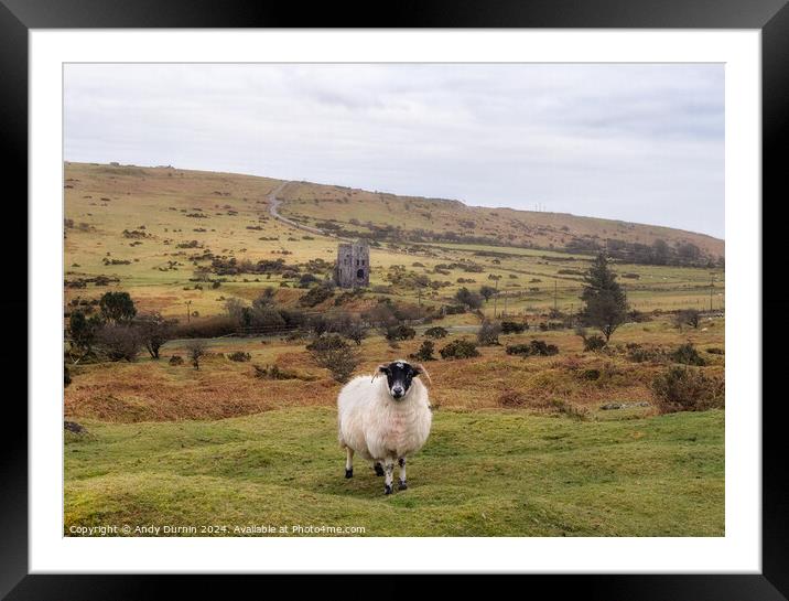 Minions Bodmin Moor Framed Mounted Print by Andy Durnin