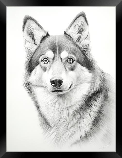 Alaskan Klee Kai Pencil Drawing Framed Print by K9 Art