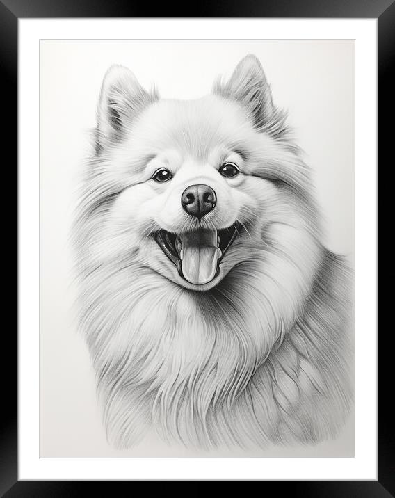 American Eskimo Dog Pencil Drawing Framed Mounted Print by K9 Art