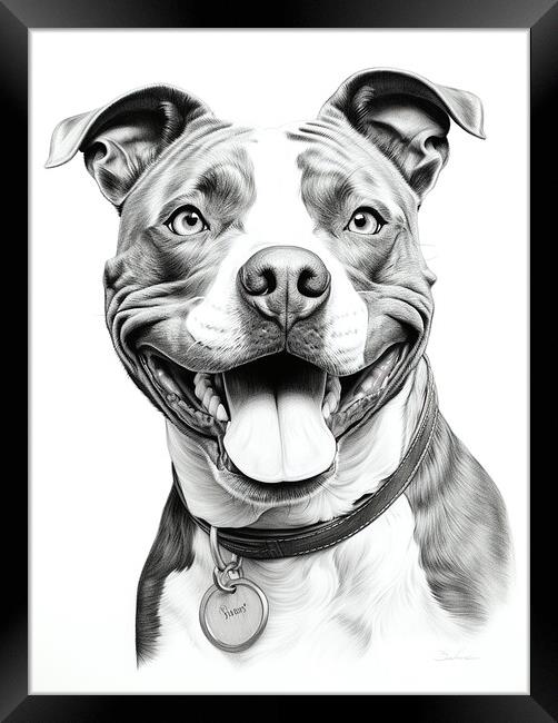 American Staffordshire Terrier Framed Print by K9 Art