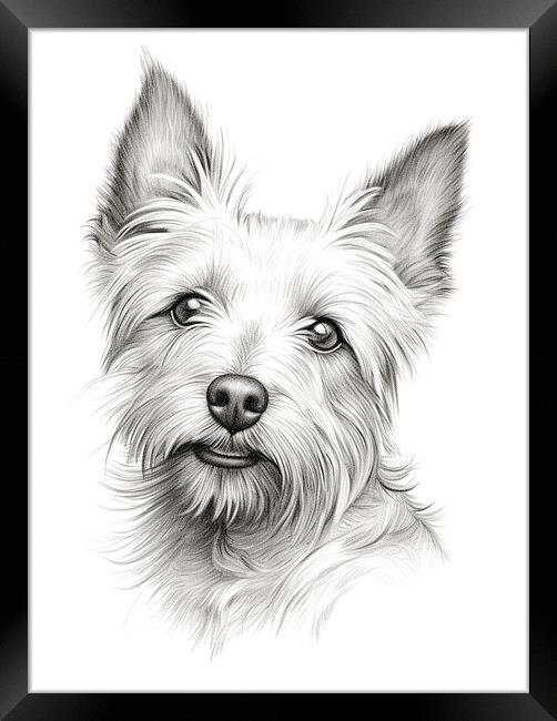 Australian Terrier Pencil Drawing Framed Print by K9 Art