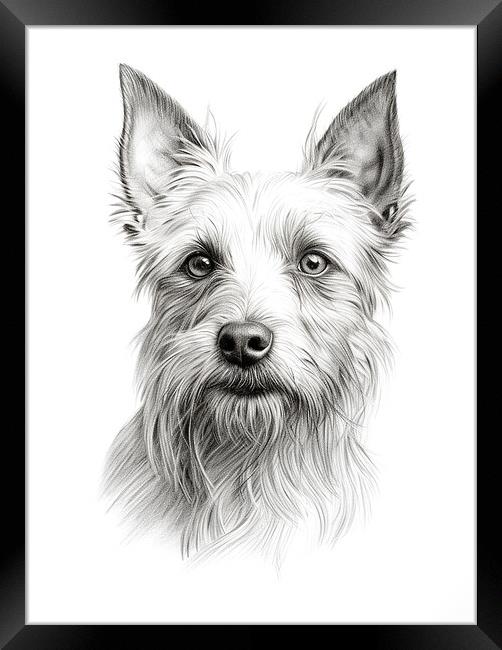 Australian Terrier Pencil Drawing Framed Print by K9 Art