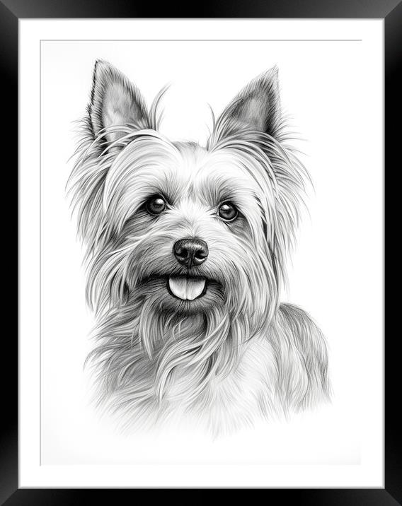 Australian Silky Terrier Pencil Drawing Framed Mounted Print by K9 Art