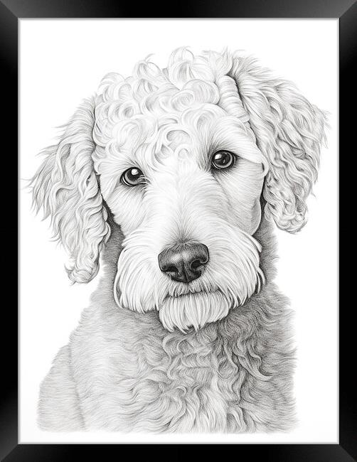 Bedlington Terrier Pencil Drawing Framed Print by K9 Art