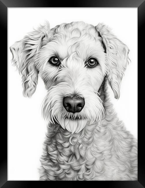 Bedlington Terrier Pencil Drawing Framed Print by K9 Art