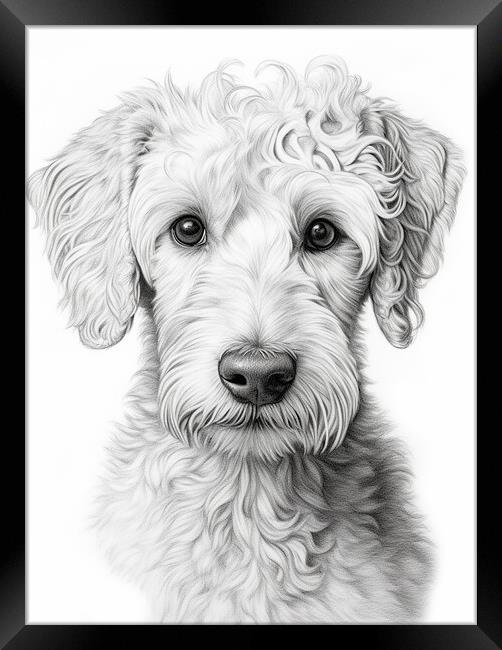 Bedlington Terrier Pencil Drawing Framed Print by K9 Art