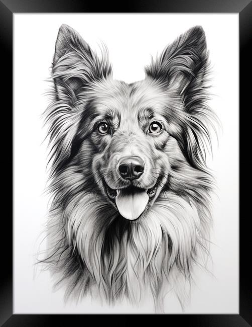 Belgian Sheepdog Pencil Drawing Framed Print by K9 Art