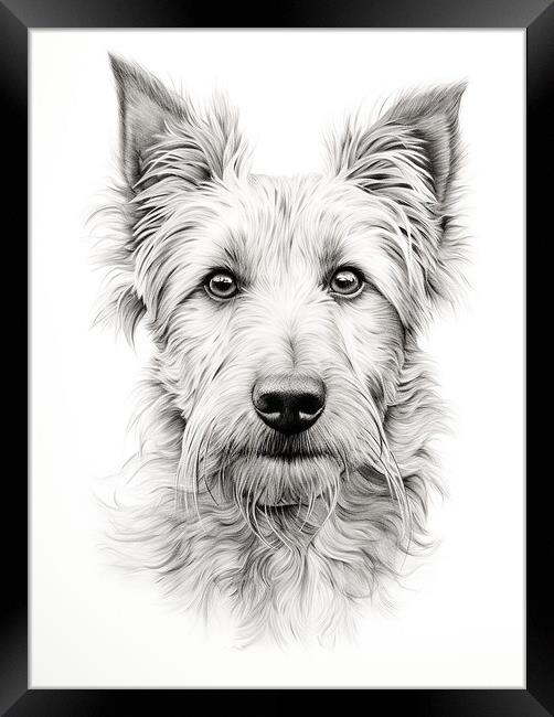 Berger Picard Pencil Drawing Framed Print by K9 Art