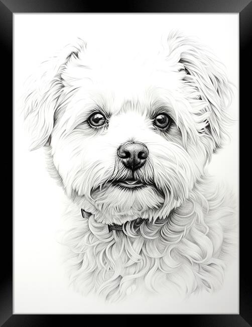 Bichon Frise Pencil Drawing Framed Print by K9 Art