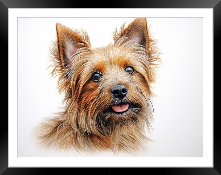 Australian Terrier Pencil Drawing Framed Mounted Print by K9 Art