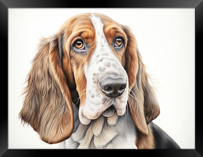 Basset Hound Pencil Drawing Framed Print by K9 Art