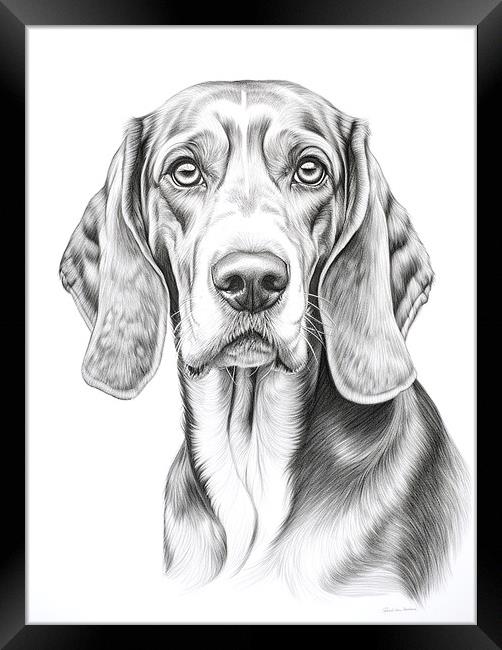 Bavarian Mountain Scent Dog Pencil Drawing Framed Print by K9 Art