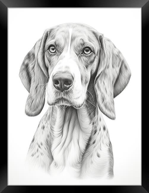 Bavarian Mountain Scent Dog Pencil Drawing Framed Print by K9 Art