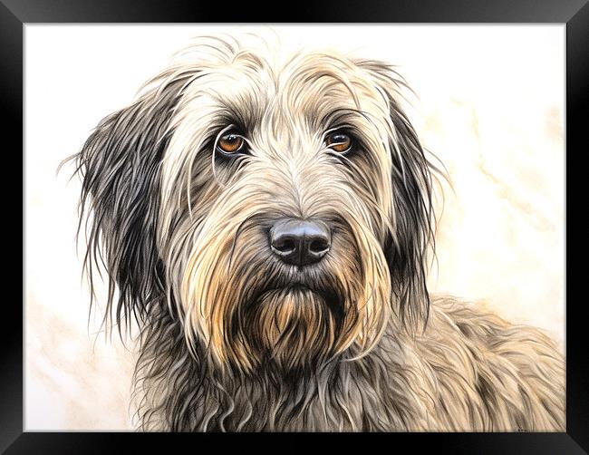 Briard Pencil Drawing Framed Print by K9 Art