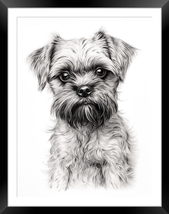 Brussels Griffon Pencil Drawing Framed Mounted Print by K9 Art