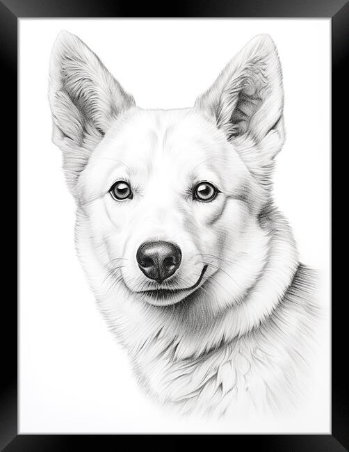 Canaan Dog Pencil Drawing Framed Print by K9 Art