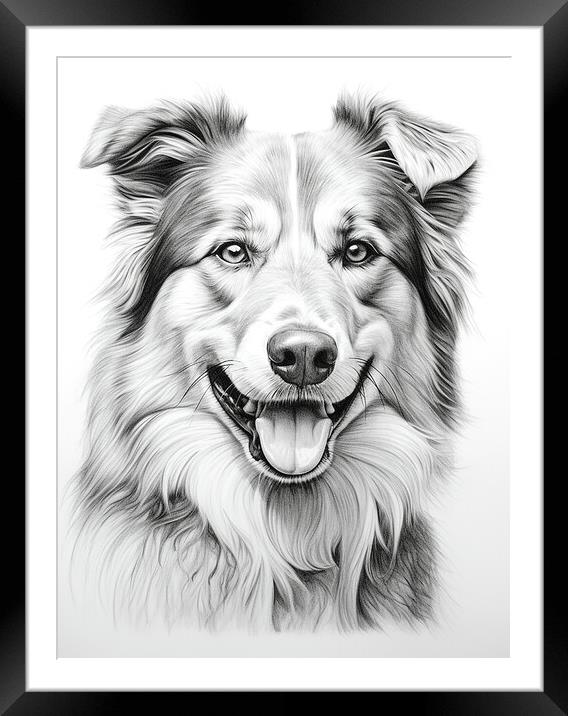 Central Asian Shepherd Dog Pencil Drawing Framed Mounted Print by K9 Art
