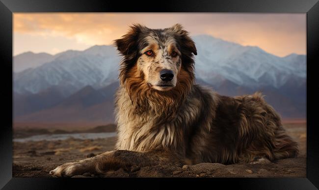 Central Asian Shepherd Dog Framed Print by K9 Art