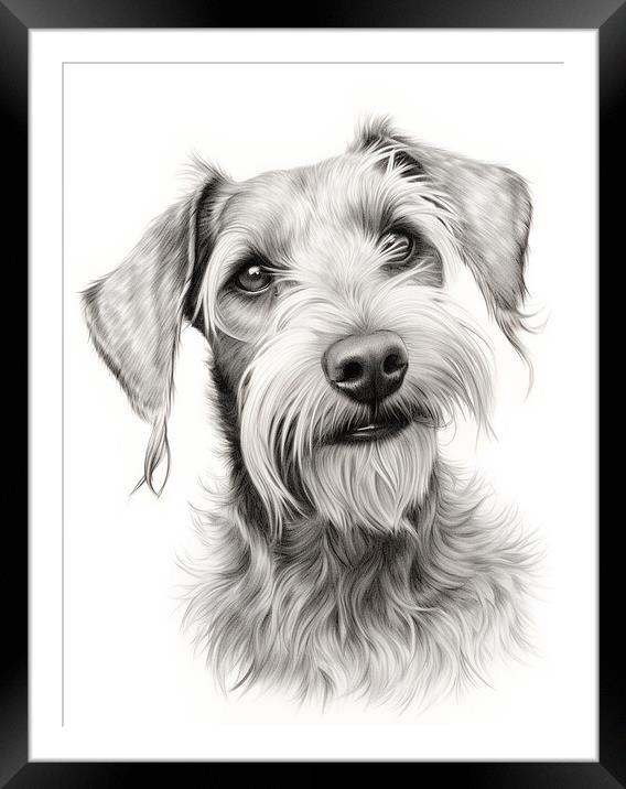 Cesky Terrier Pencil Drawing Framed Mounted Print by K9 Art