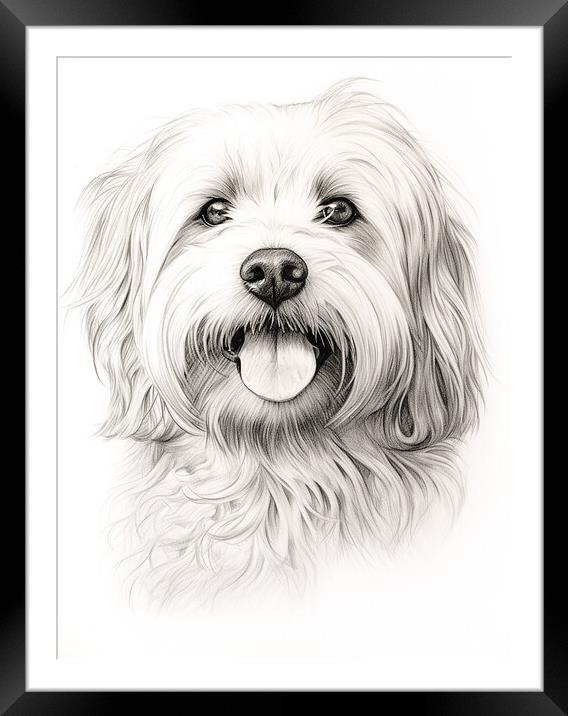 Coton De Tulear Pencil Drawing Framed Mounted Print by K9 Art