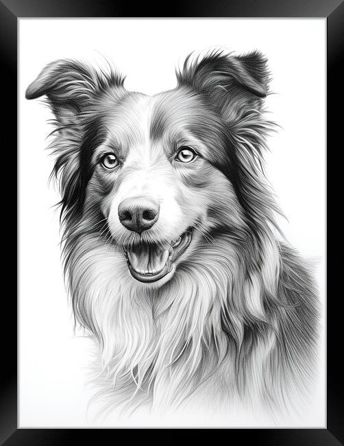 Croatian Sheepdog Pencil Drawing Framed Print by K9 Art