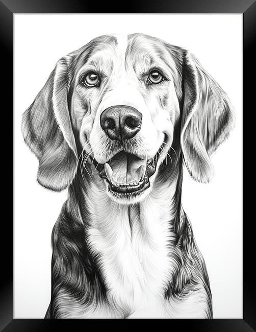 English Foxhound Pencil Drawing Framed Print by K9 Art