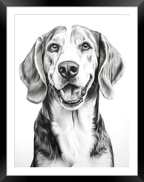 English Foxhound Pencil Drawing Framed Mounted Print by K9 Art