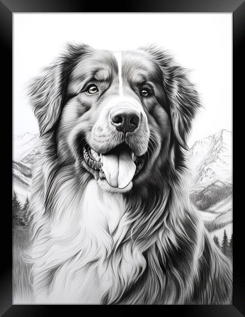 Estrela Mountain Dog Pencil Drawing Framed Print by K9 Art