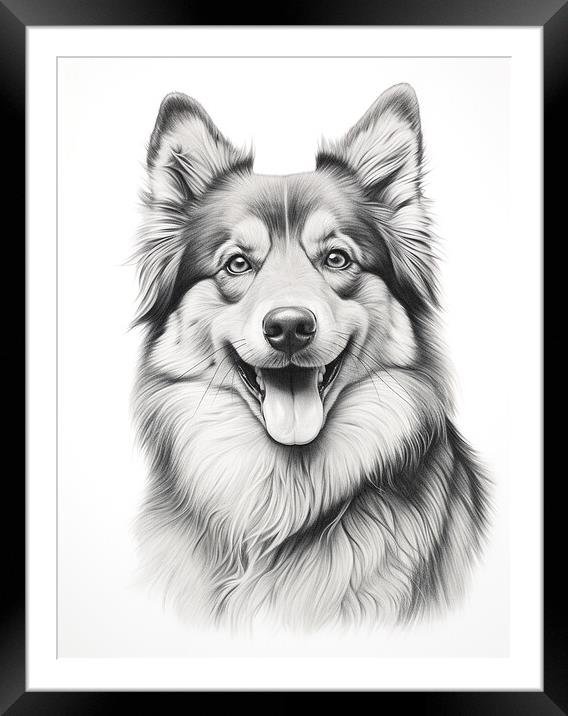 Finnish Lapphund Pencil Drawing Framed Mounted Print by K9 Art