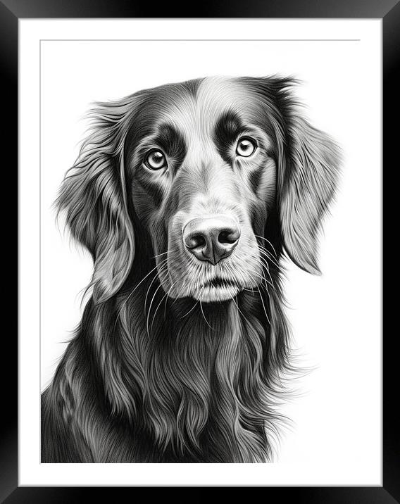 Flat Coated Retriever Pencil Drawing Framed Mounted Print by K9 Art