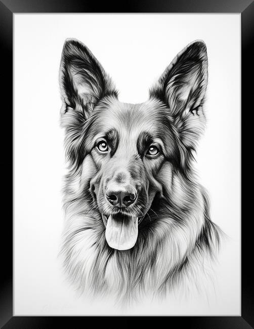 German Shepherd Dog Pencil Drawing Framed Print by K9 Art