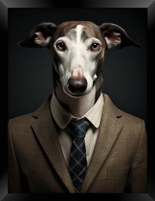 Greyhound Framed Print by K9 Art