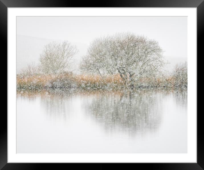Snowfall and hawthorns Framed Mounted Print by Robert Canis