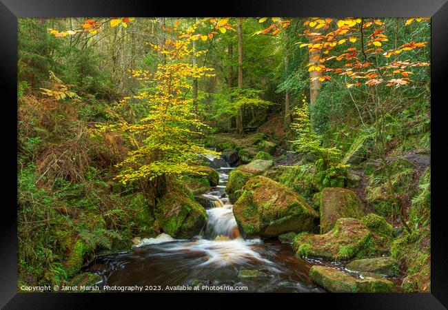 Fairy Tale- Wyming Brook Framed Print by Janet Marsh  Photography