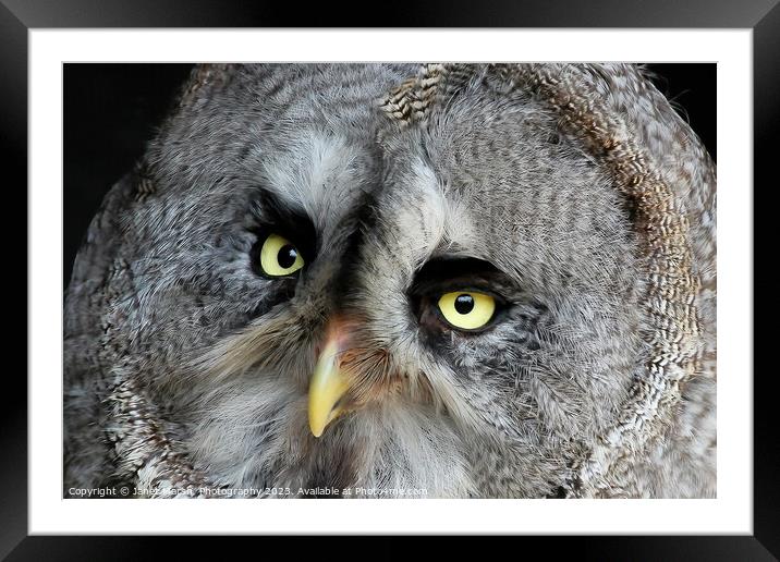 Great Grey Owl Framed Mounted Print by Janet Marsh  Photography
