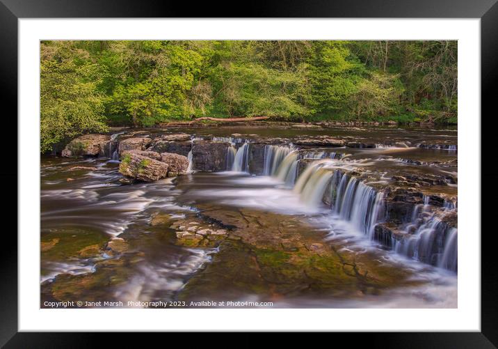 Aysgarth Falls- Yorkshire Dales  Framed Mounted Print by Janet Marsh  Photography
