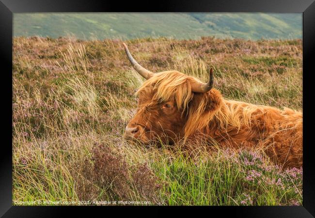 Highland Cow Framed Print by Michele Leppier
