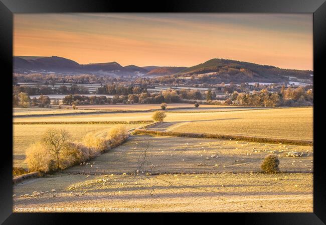 Radnor Morning Framed Print by Phil Lane