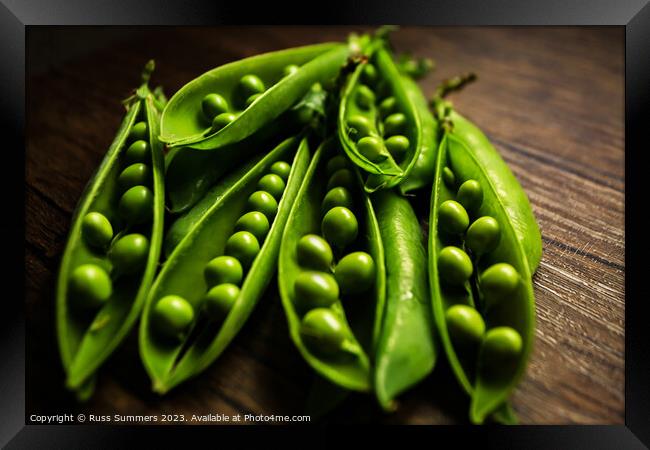 Peas in Pods Framed Print by Russ Summers