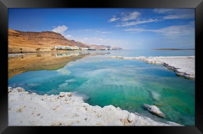 Salt deposits, typical landscape of the Dead Sea. Framed Print by Olga Peddi