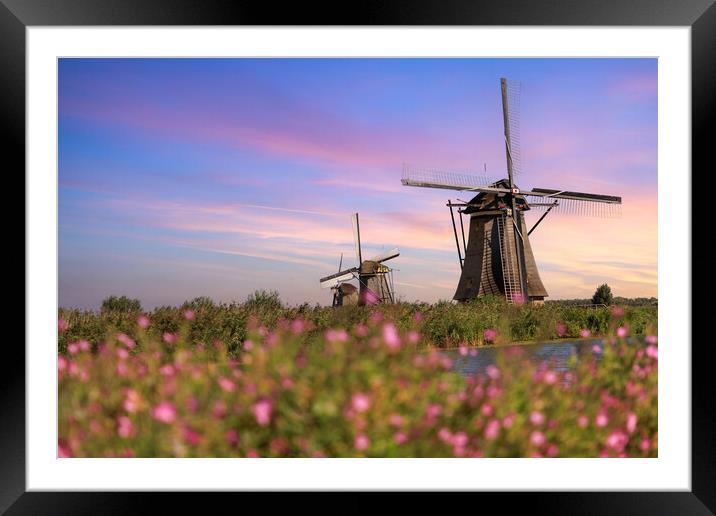 Windmill in Kinderdijk, Holland Framed Mounted Print by Olga Peddi