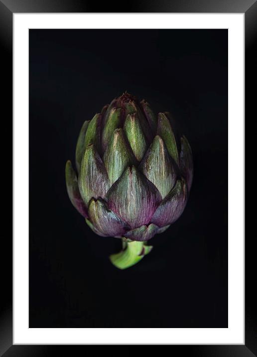 Artichoke  Framed Mounted Print by Olga Peddi