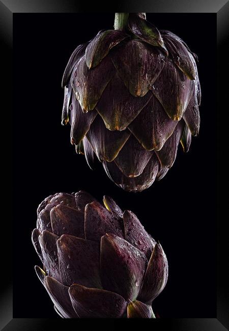 Fresh raw artichokes on black background. Ripe org Framed Print by Olga Peddi