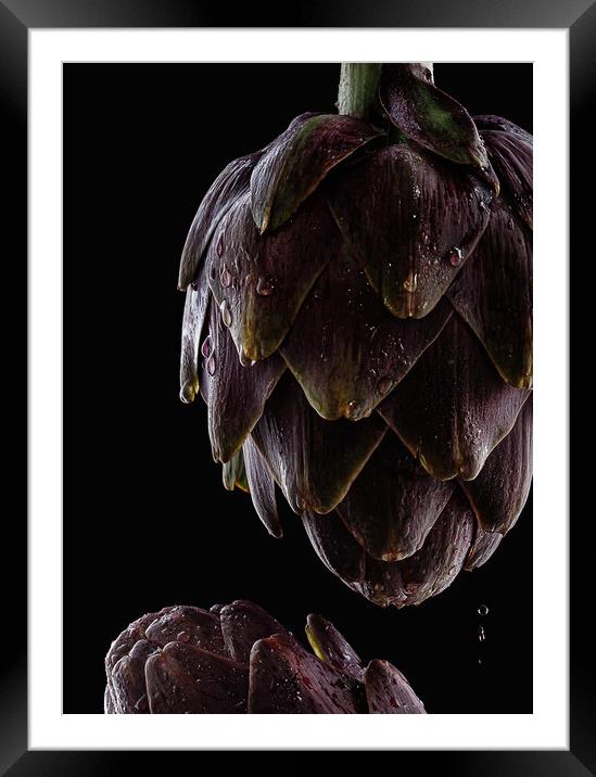 Fresh raw artichokes on black background.  Framed Mounted Print by Olga Peddi