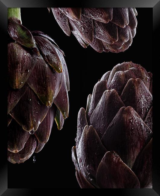 Fresh raw artichokes on black background.  Framed Print by Olga Peddi