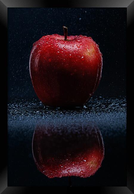 Red apple with water drops Framed Print by Olga Peddi