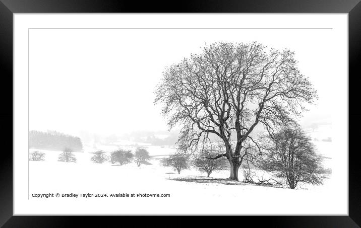 Winter on The Chevin, West Yorkshire Framed Mounted Print by Bradley Taylor
