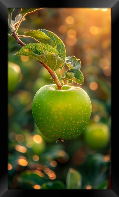 Green Apple Framed Print by T2 