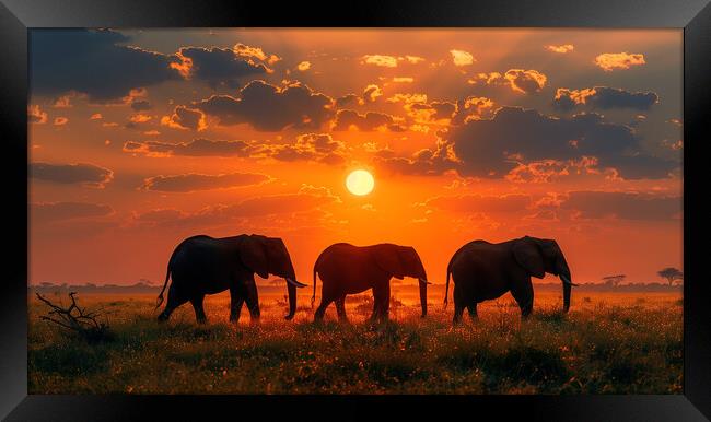 Elephants in the African Sunset Framed Print by T2 